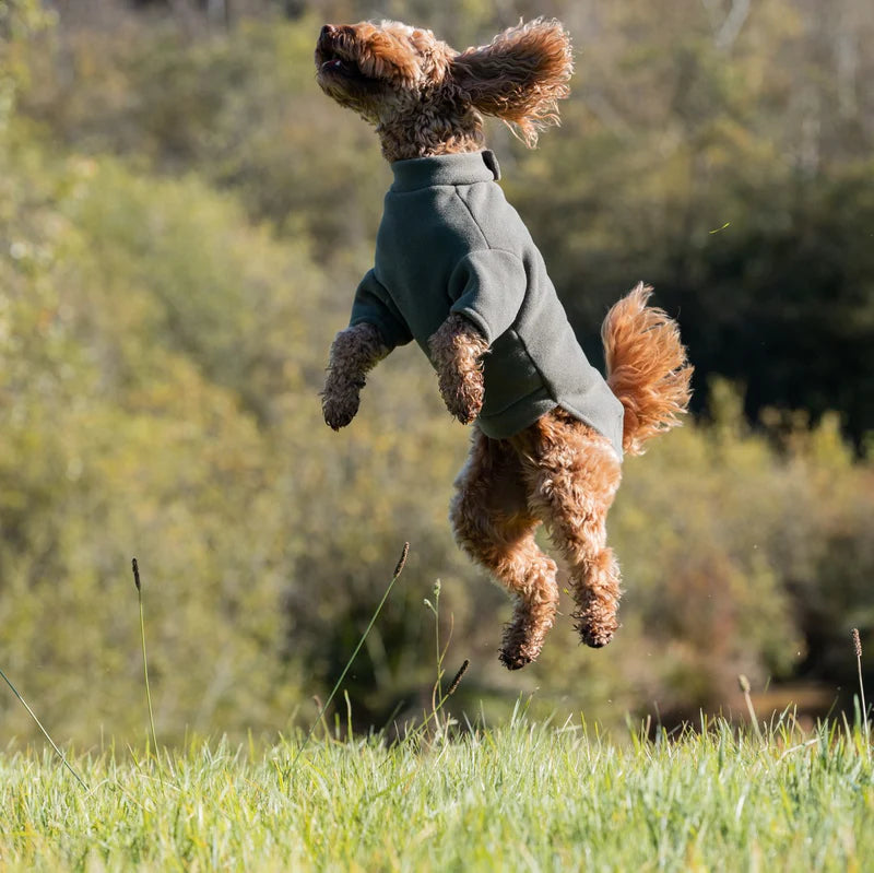 Stix Dogs Coats - Cockapoo – The Dog's Spot