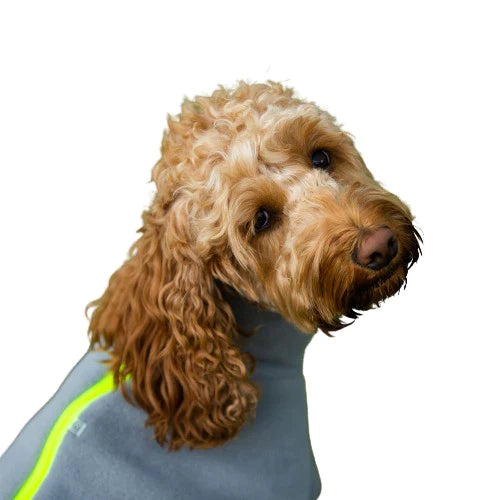 Stix Dogs Coats - Cockapoo