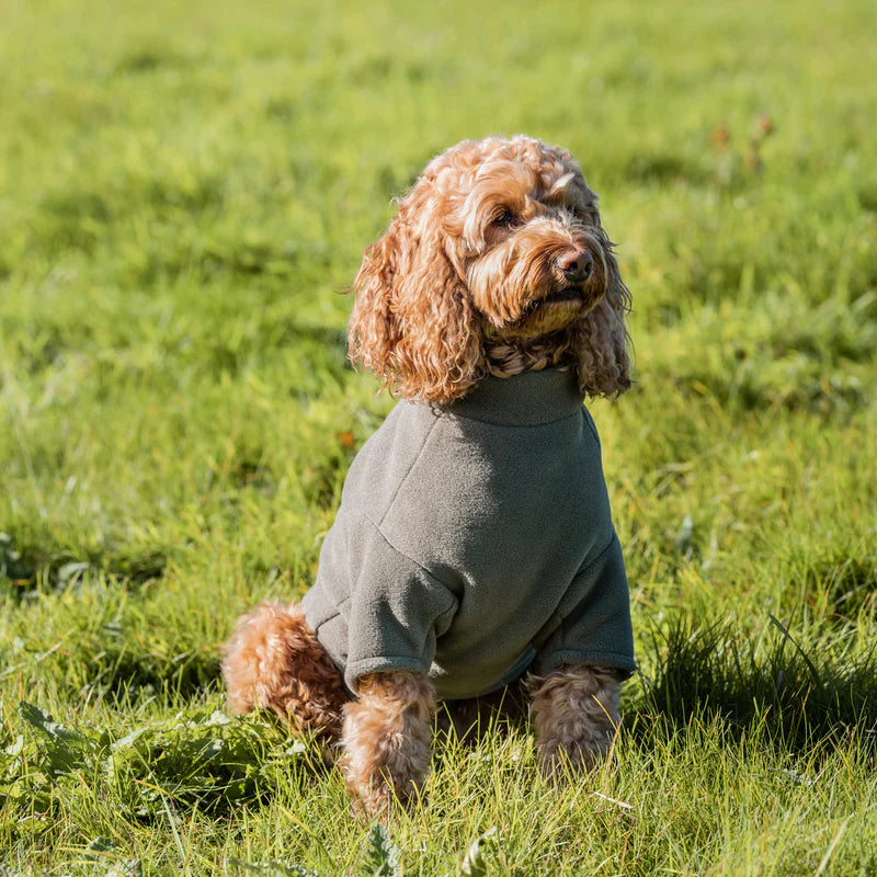 Stix Dogs Coats - Cockapoo