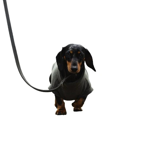 Stix Dogs Coats - Dachshund