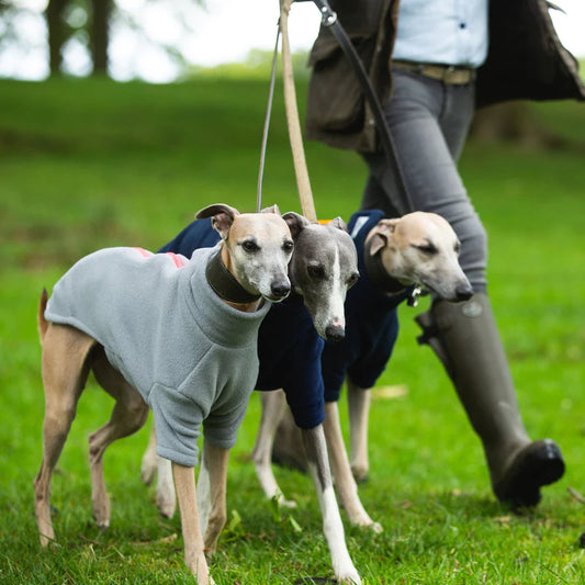 Stix Dogs Coats - Whippet