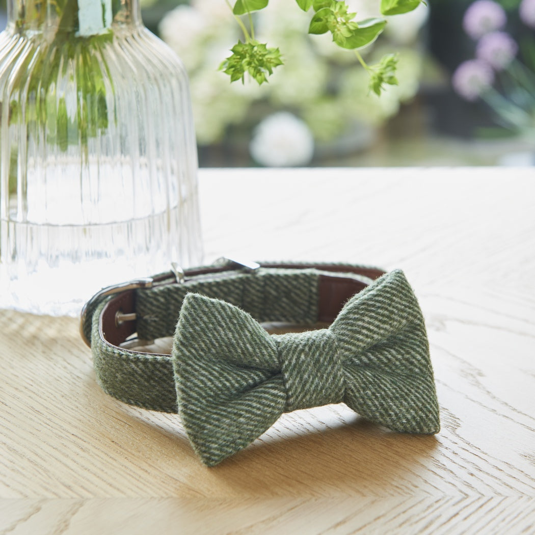 Sweet William Tweed Bow Tie