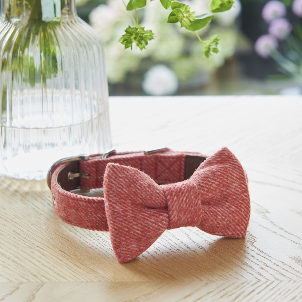 Sweet William Tweed Bow Tie orange