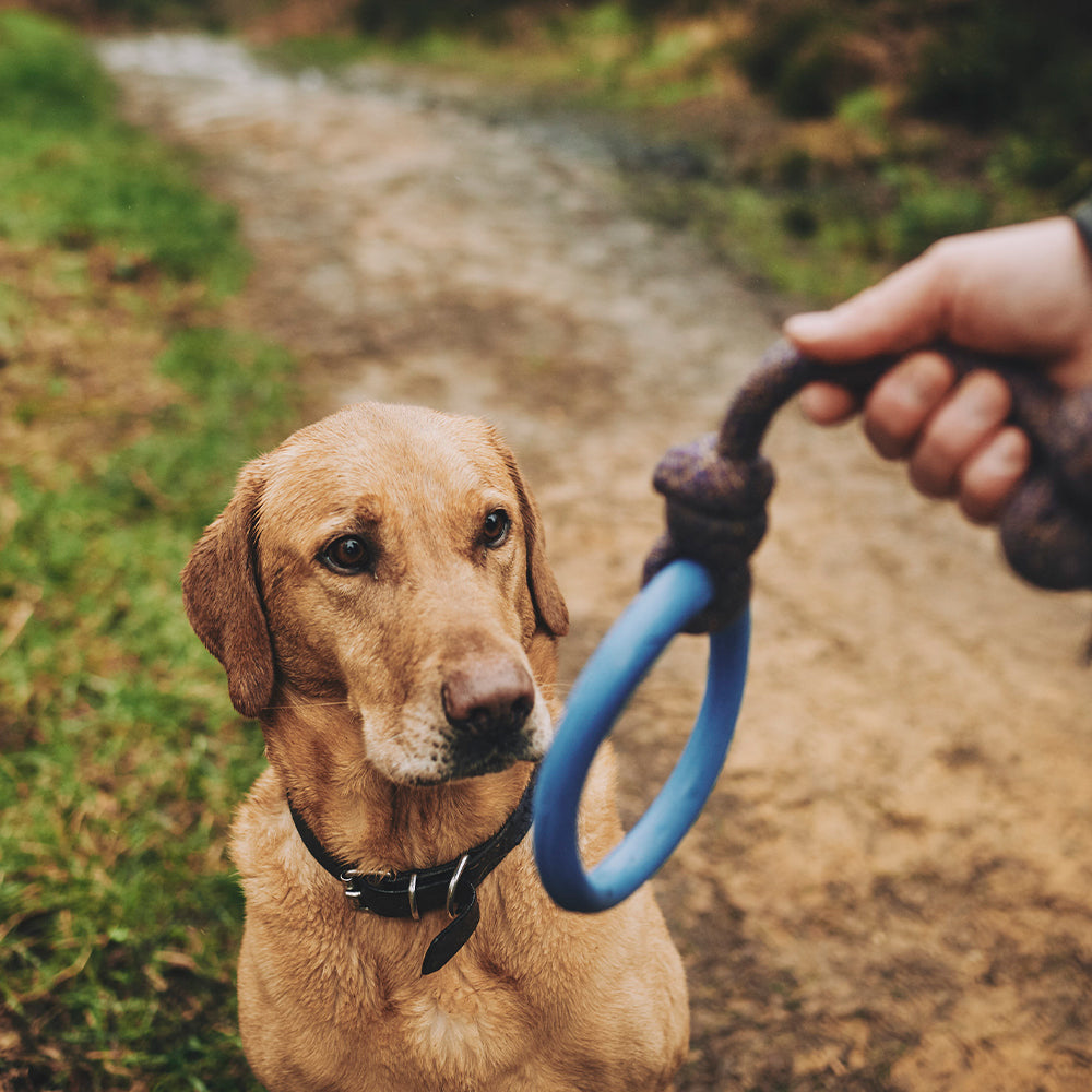 Beco - Natural Rubber Hoop on a Rope