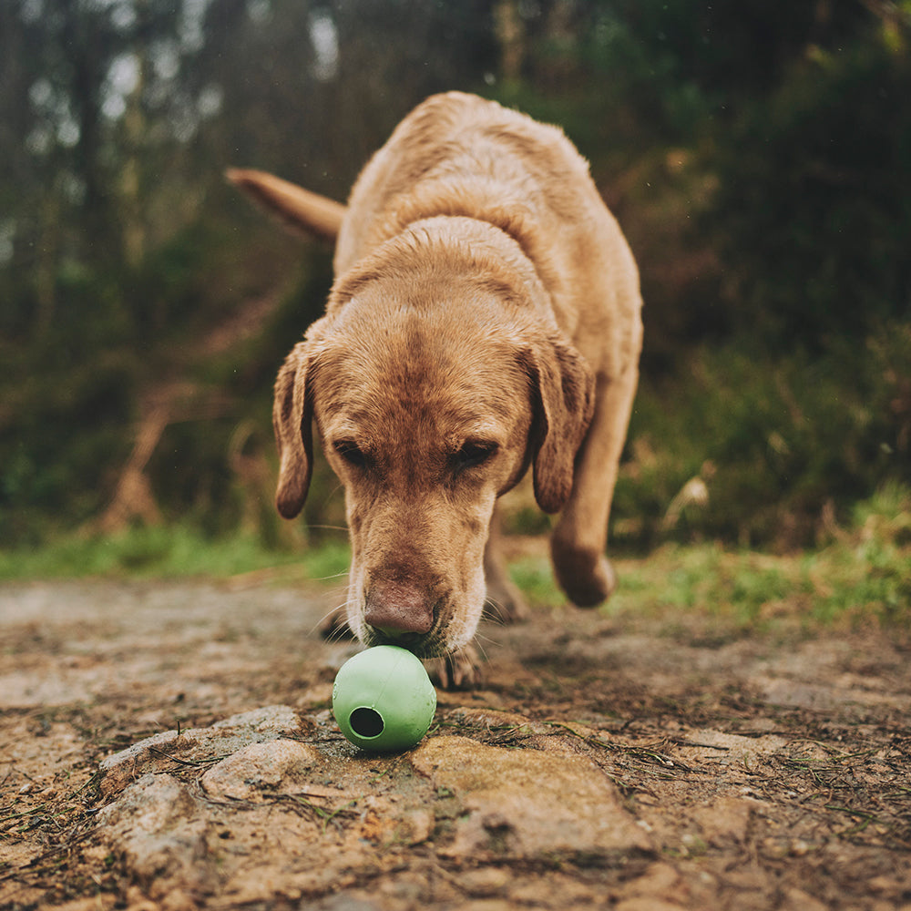 Beco - Natural Rubber Treat Ball