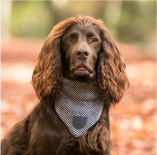 Hugo & Hudson Tweed Bandana - Blue Herringbone