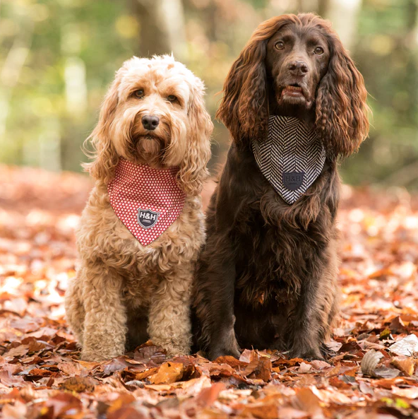 Hugo & Hudson Tweed Bandana - Blue Herringbone