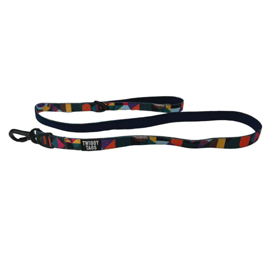 Twiggy Tags Adventure Lead Aurora