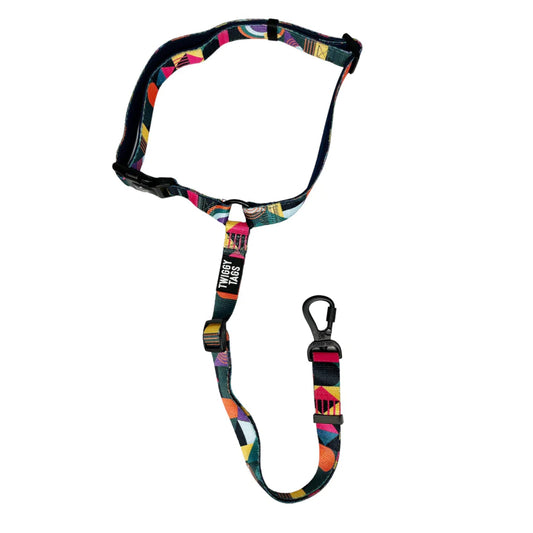 Twiggy Tags Dog Seatbelt Aurora