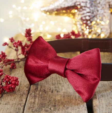 Sweet William Velvet Bow Tie