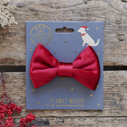 Sweet William Velvet Bow Tie