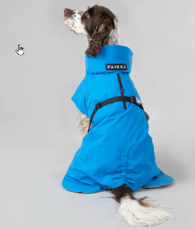 Paikka Visibility Winter Jacket for Dogs