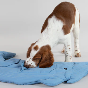 Paikka Enrichment Playmat for Dogs