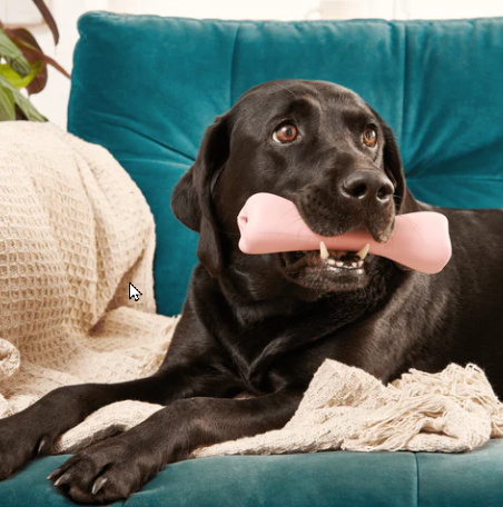 Beco - Natural Rubber Treat Bone