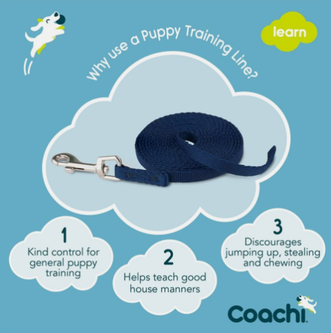 C:\Users\User\Downloads\coachi Puppy Training Line Navy