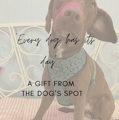 The Dog's Spot Gift Voucher