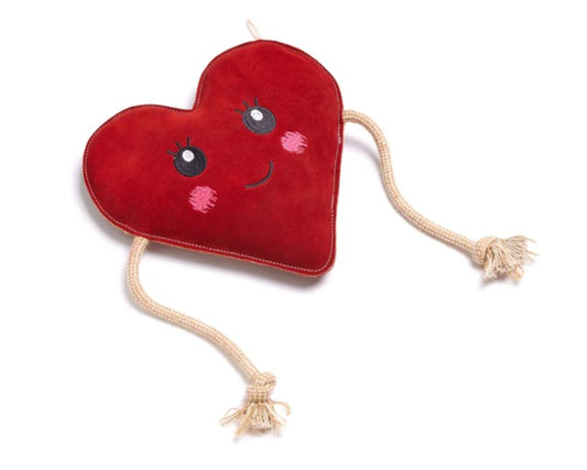 Trudy Biglove, Eco Dog Toy 