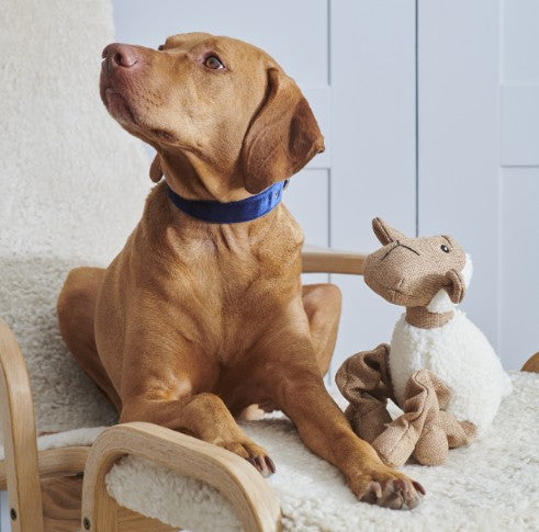 Sweet William Lamb Dog Toy
