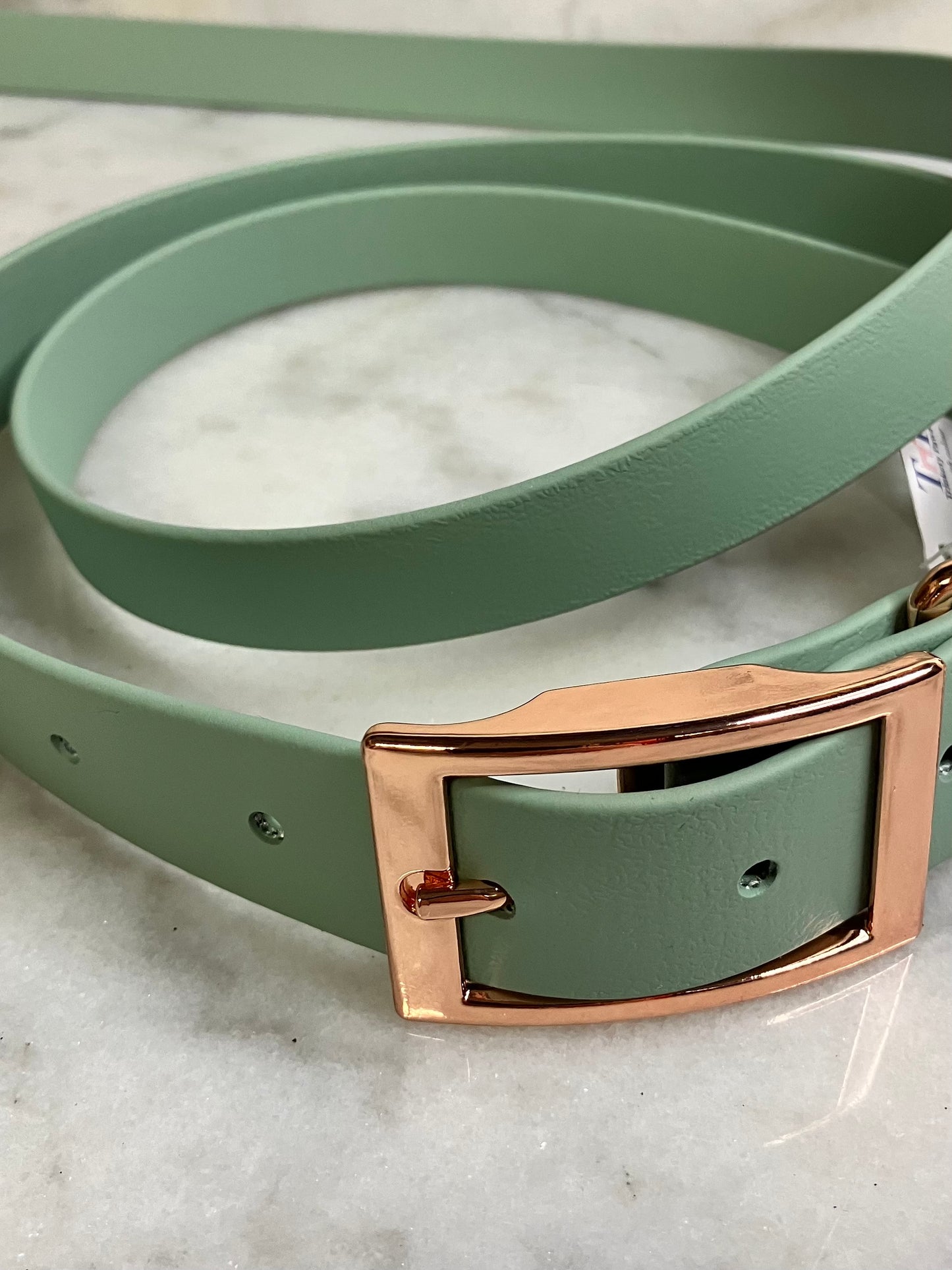 Trinkety Paws Biothane Collar