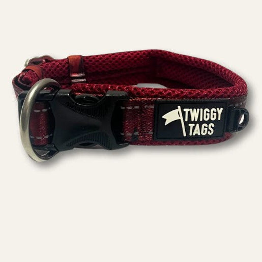 Twiggy Tags Alpenglow Collar