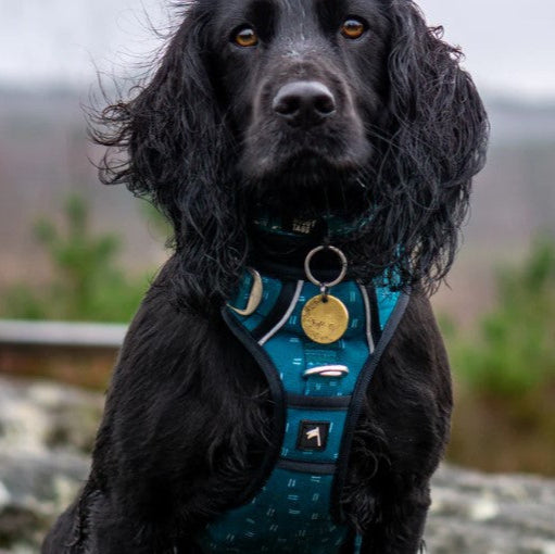 Twiggy Tags Tranquil Harness