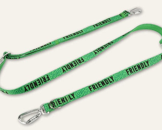 Green dog leash with 'Friendly' text on a white background