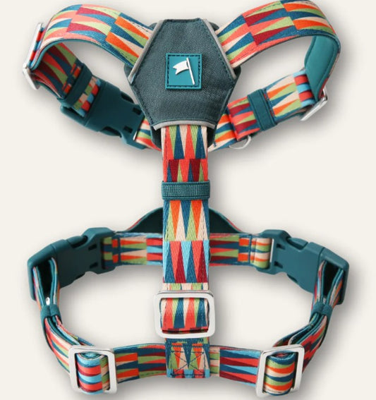 Colorful dog harness with a geometric pattern on a white background